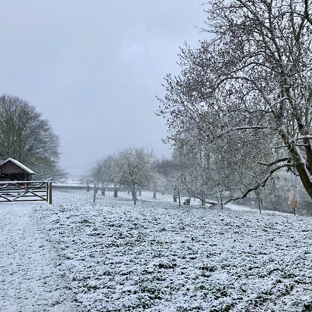Vakantiewoning Nachtegael, Hoekhuis Kluisbergen Buitenkant foto