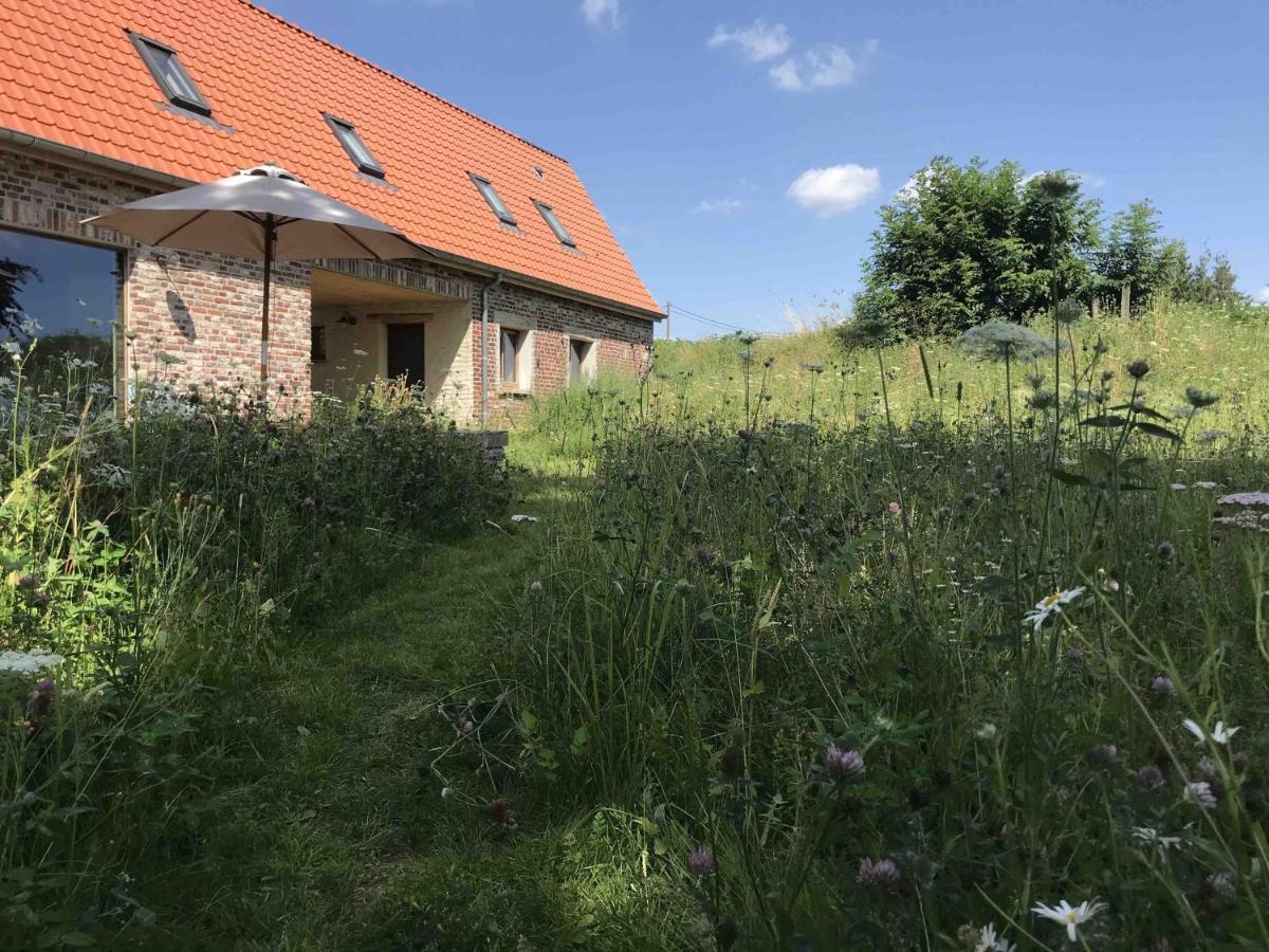 Vakantiewoning Nachtegael, Hoekhuis Kluisbergen Buitenkant foto