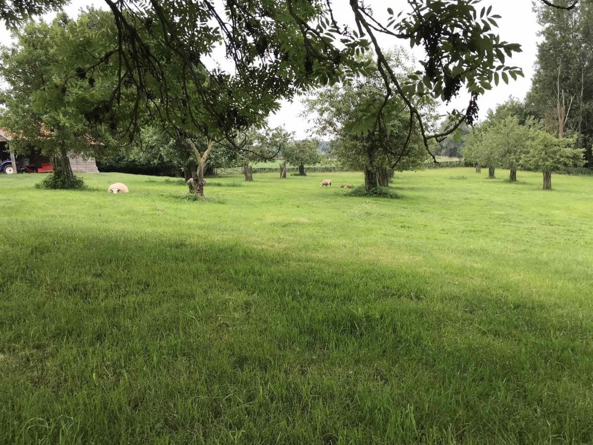 Vakantiewoning Nachtegael, Hoekhuis Kluisbergen Buitenkant foto