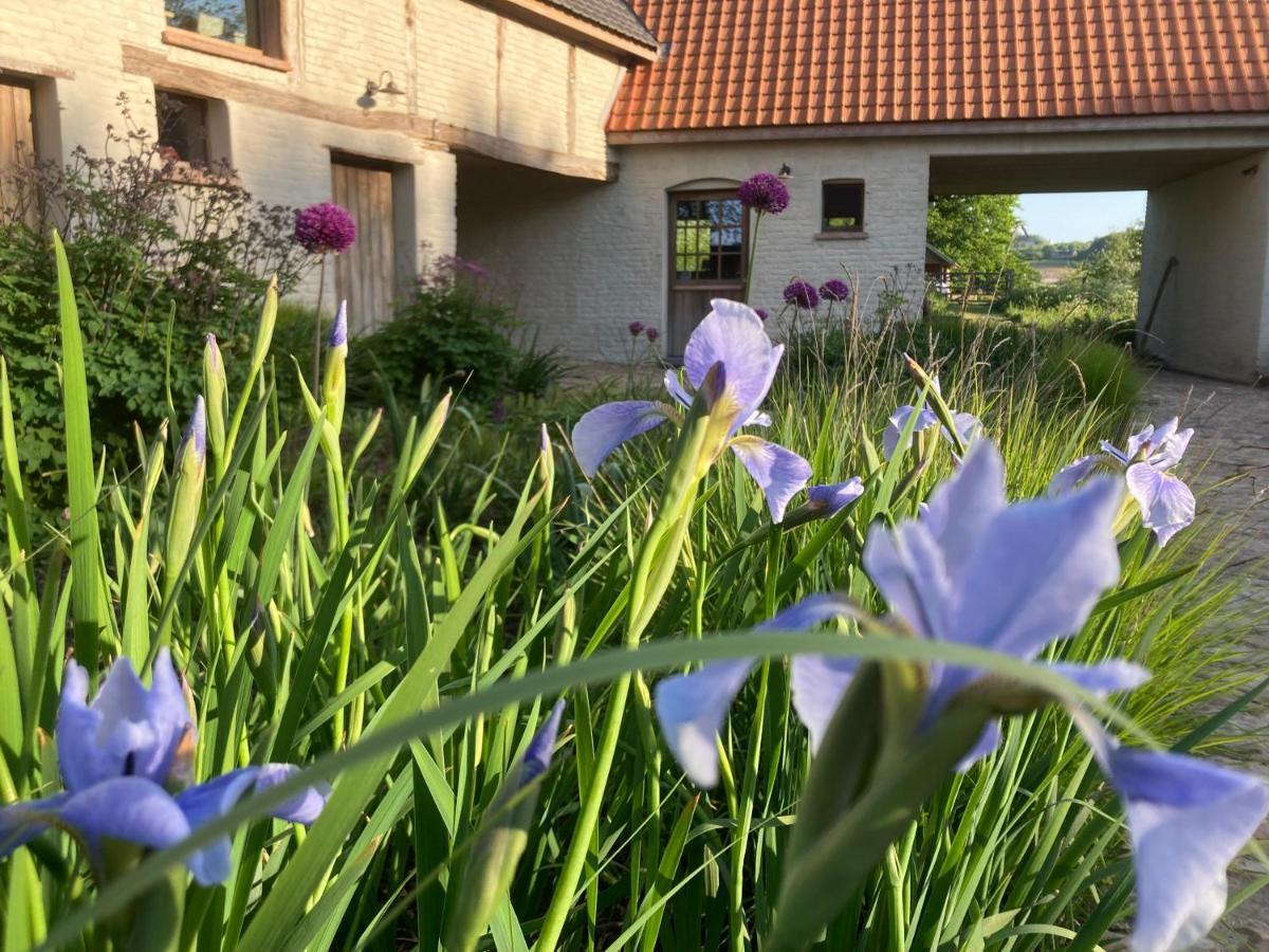 Vakantiewoning Nachtegael, Hoekhuis Kluisbergen Buitenkant foto