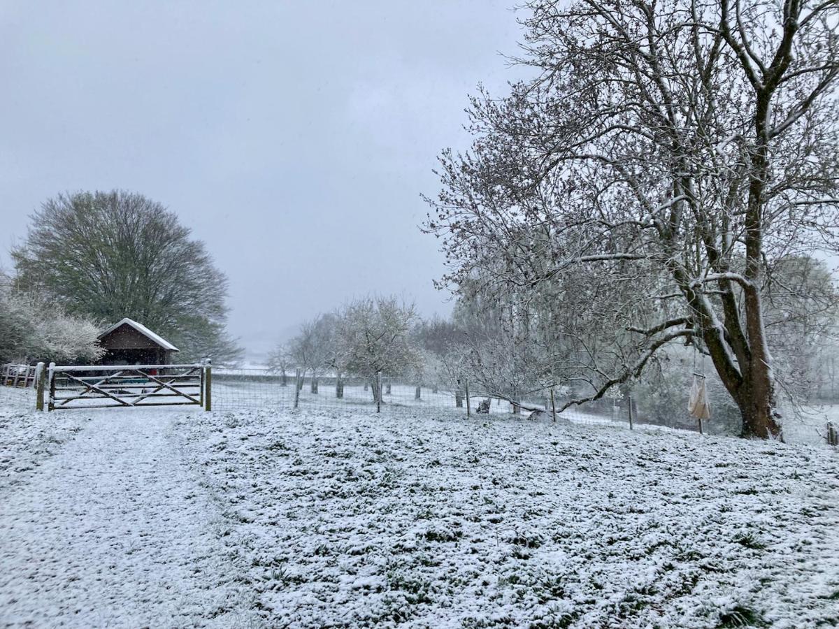 Vakantiewoning Nachtegael, Hoekhuis Kluisbergen Buitenkant foto