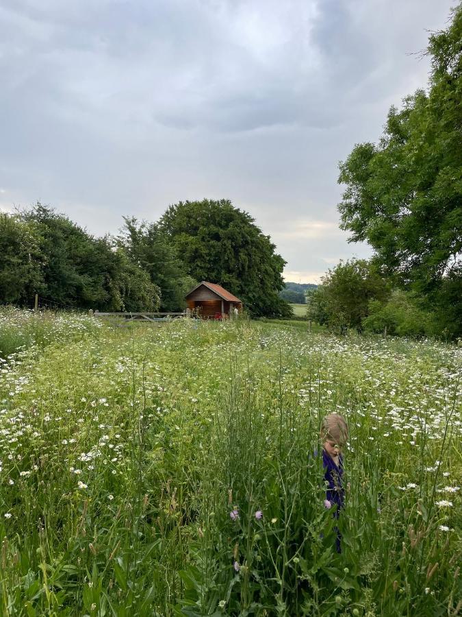 Vakantiewoning Nachtegael, Hoekhuis Kluisbergen Buitenkant foto